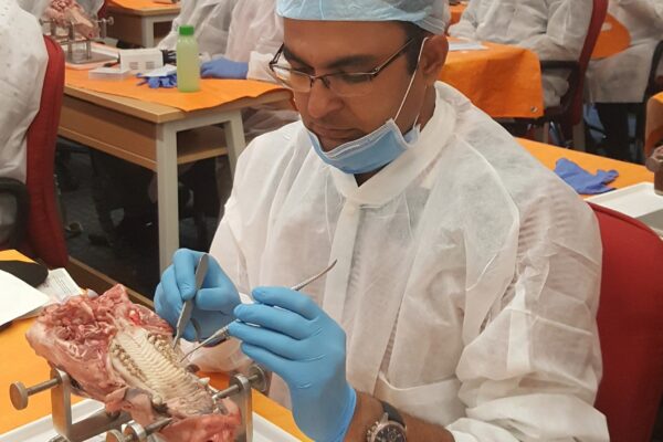 ADVANCE HARD AND SOFT TISSUE Dental Implant TRAINING BY GEISTLICH PHARMA, SWITZERLAND